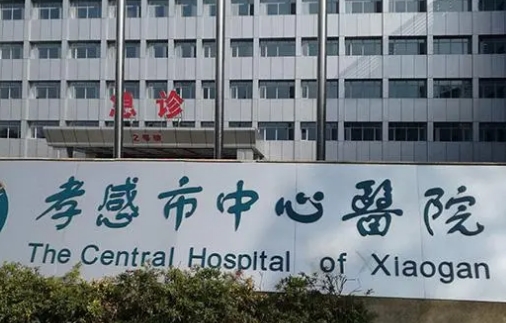 孝感中心醫(yī)院.jpg