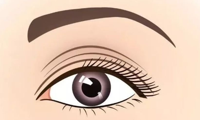 微信截圖_20240126083050.png 微信截圖_20240126083050.png